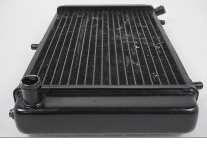 Snett nerifrån på Vattenkyl från en Aprilia RS 125 -2008 motorcykel.