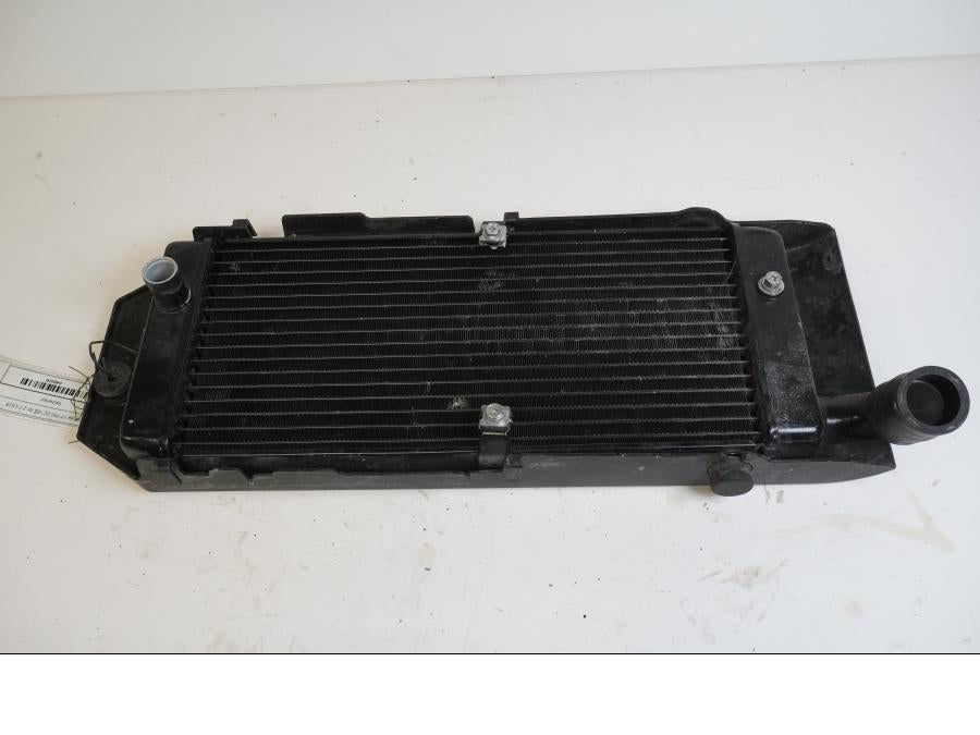 Baksidan på Vattenkyl från en Honda VT 750 -2008 motorcykel.