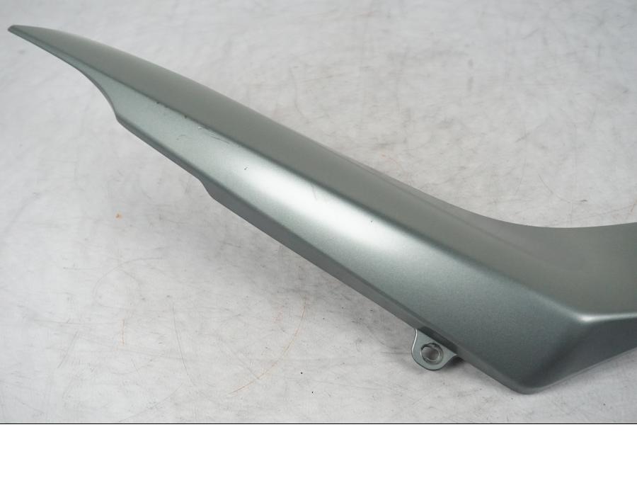 Baksidan på Sidopanel från en BMW R 1200 R -2007 motorcykel.