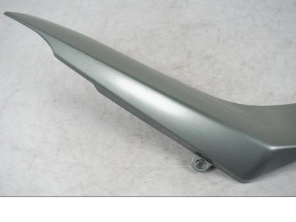 Baksidan på Sidopanel från en BMW R 1200 R -2007 motorcykel.