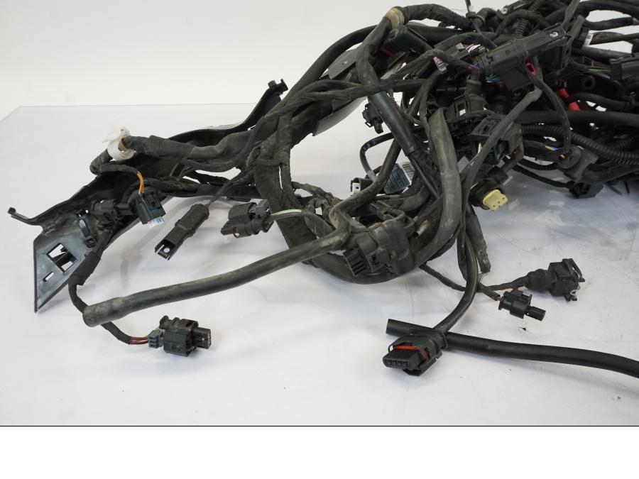 Baksidan på Kabelstam från en BMW R 1250 GS -2019 motorcykel.