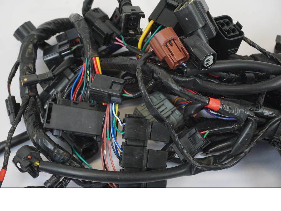 Höger sida på Kabelstam från en Triumph Trident -2021 motorcykel.