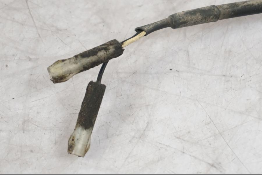 Baksidan på Blinkers från en Triumph Tiger -2009 motorcykel.