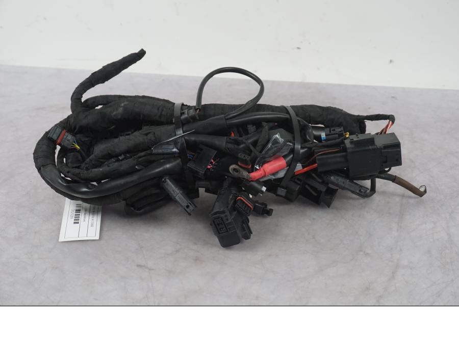 Baksidan på Kabelstam från en BMW F 800 R -2018 motorcykel.