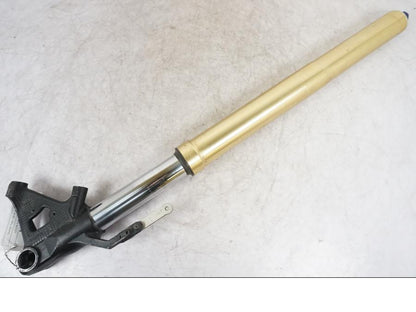 Extrabild1 på Gaffelben från en Triumph Tiger -2009 motorcykel.