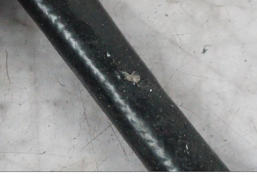 Extrabild3 på Lambdasond från en Ducati Multistrada V4 -2024 motorcykel.