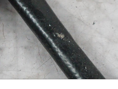 Extrabild3 på Lambdasond från en Ducati Multistrada V4 -2024 motorcykel.