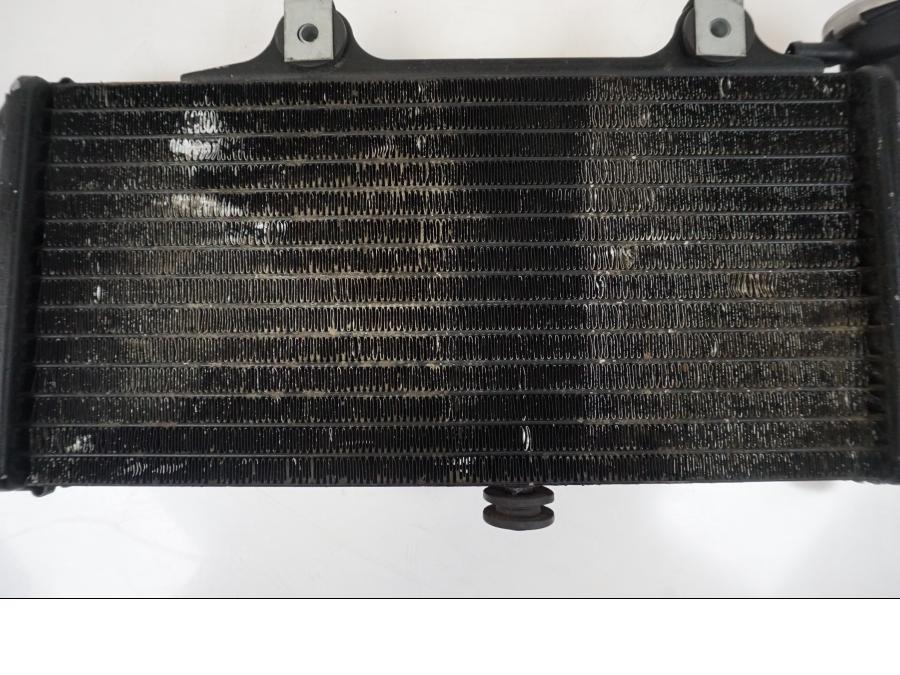 Baksidan på Vattenkyl från en BMW F 650 CS -2002 motorcykel.