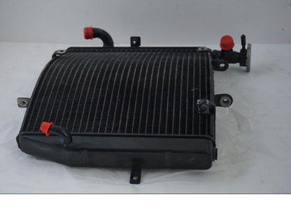 Höger sida på Vattenkyl från en Triumph Daytona 675 -2010 motorcykel.