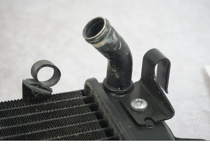 Extrabild1 på Vattenkyl från en Triumph Tiger -2009 motorcykel.