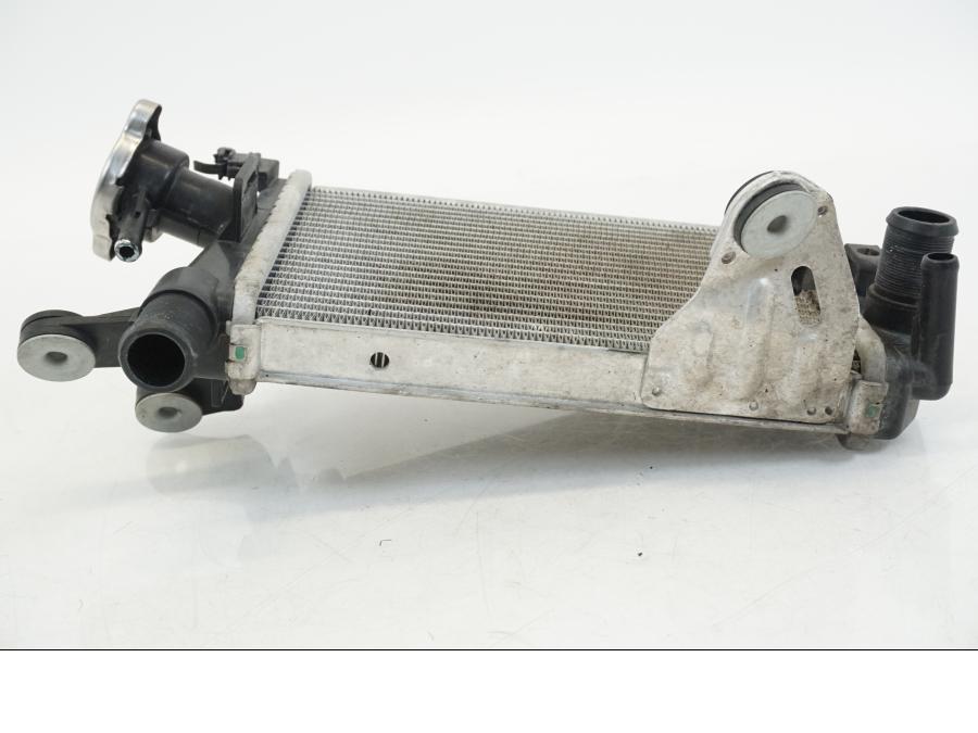 Extrabild2 på Vattenkyl från en BMW R 1250 GS -2019 motorcykel.