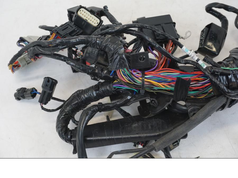 Extrabild1 på Kabelstam från en Triumph Speed Triple -2021 motorcykel.