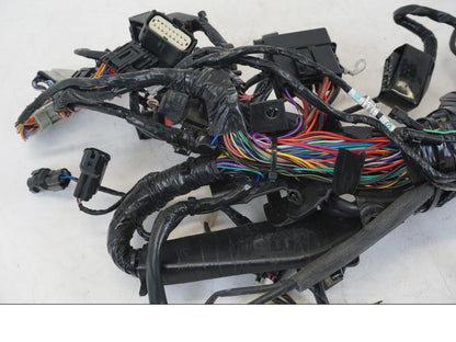 Extrabild1 på Kabelstam från en Triumph Speed Triple -2021 motorcykel.