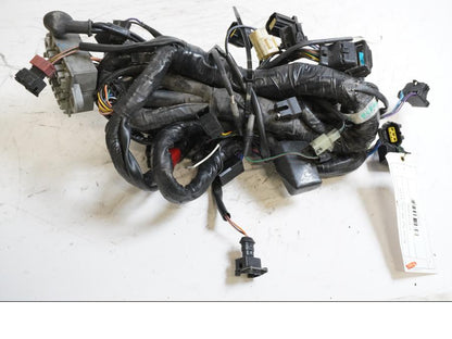 Framsidan på Kabelstam från en Triumph Tiger -2004 motorcykel.