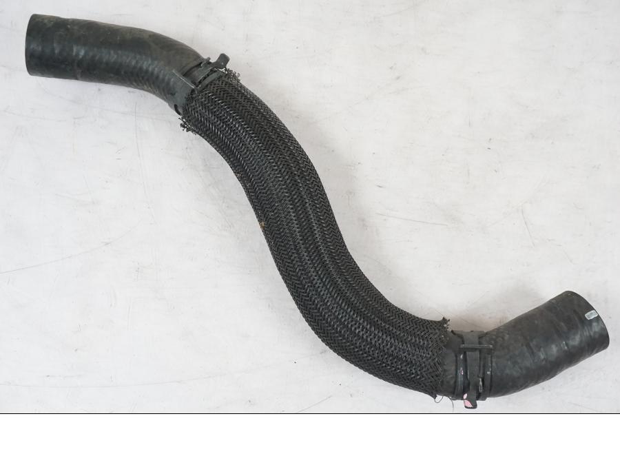 Snett nerifrån på Vattenkyl Slang Set från en Kawasaki Z 900 -2019 motorcykel.