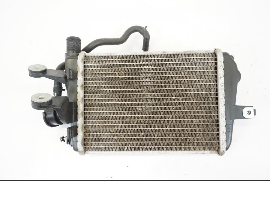 Vänster sida på Vattenkyl från en BMW R 1250 GS -2019 motorcykel.