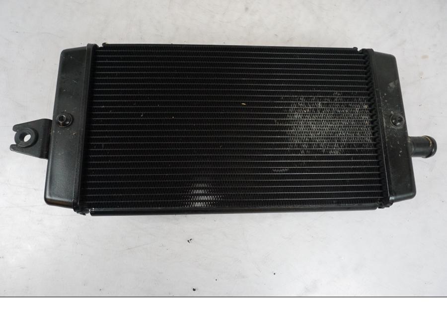 Framsidan på Vattenkyl från en Triumph Bonneville T120 -2021 motorcykel.