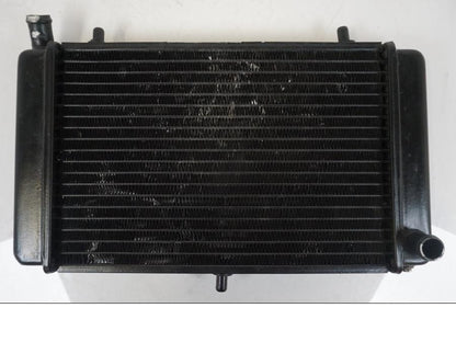 Framsidan på Vattenkyl från en Aprilia RS 125 -2008 motorcykel.