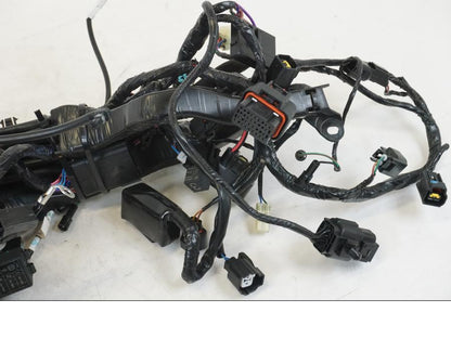 Höger sida på Kabelstam från en Triumph Speed Triple -2021 motorcykel.