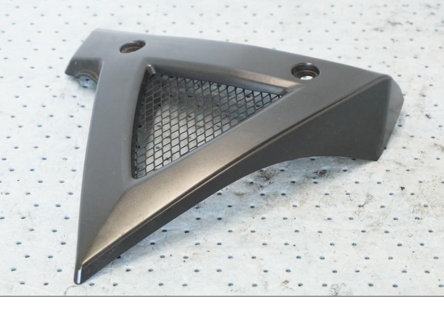 Extrabild1 på Vattenkylkåpa från en Suzuki GSX 1300 BK -2008 motorcykel.