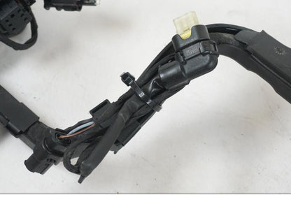 Extrabild1 på Kabelstam från en BMW R 1250 GS -2021 motorcykel.