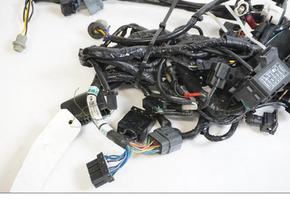 Baksidan på Kabelstam från en Triumph Street Triple -2011 motorcykel.