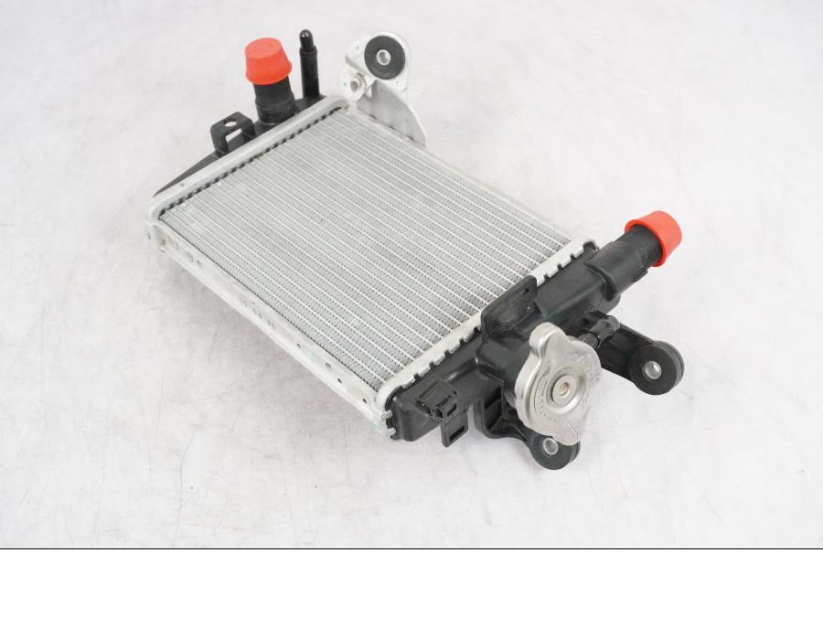 Vänster sida på Vattenkyl från en BMW R 1250 GSA -2021 motorcykel.