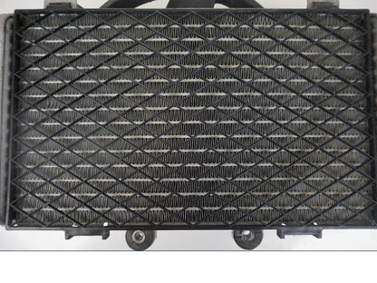 Baksidan på Vattenkyl från en Honda XL 1000 V -2008 motorcykel.