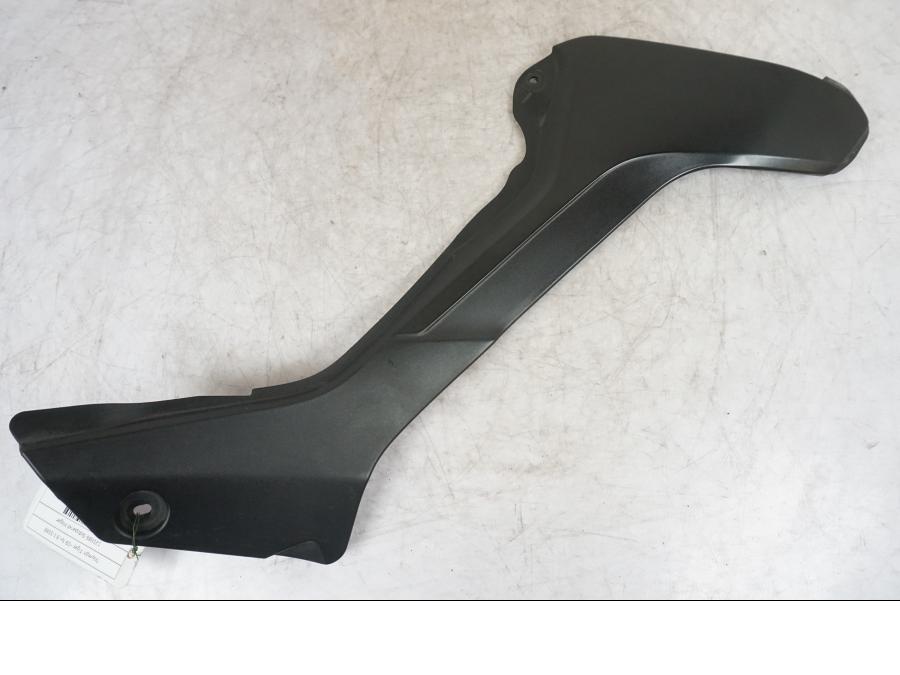 Framsidan på Sidopanel från en Triumph Tiger -2009 motorcykel.