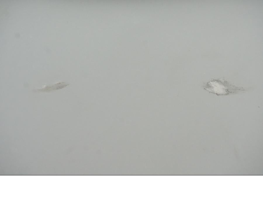 Snett uppifrån på Bensintank från en Ducati Desert X -2023 motorcykel.