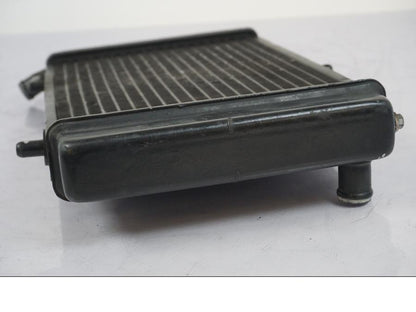 Extrabild1 på Vattenkyl från en Aprilia RS 125 -2000 motorcykel.