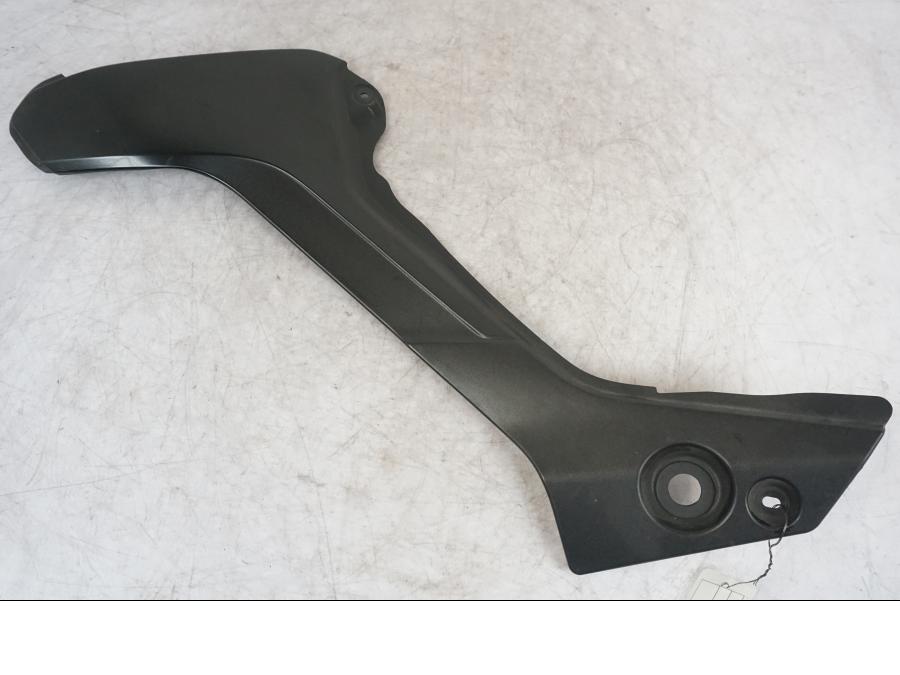 Framsidan på Sidopanel från en Triumph Tiger -2009 motorcykel.