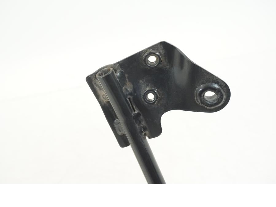 Extrabild6 på Stag från en BMW F 650 CS -2003 motorcykel.