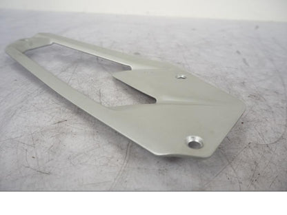 Vänster sida på Fotpinnehälskydd från en Kawasaki Z 800 -2014 motorcykel.