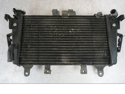 Snett nerifrån på Vattenkyl från en Triumph Tiger -2009 motorcykel.