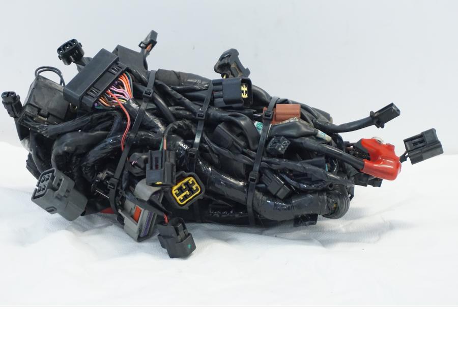 Baksidan på Kabelstam från en Triumph Daytona 675 -2010 motorcykel.