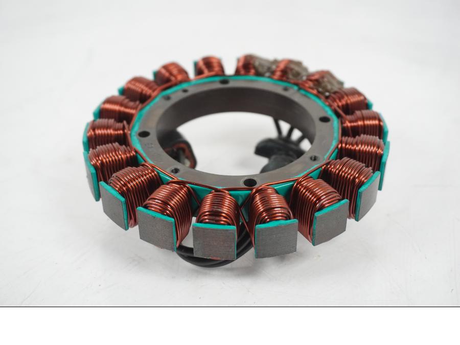 Extrabild2 på Generator från en H-D Softail Standard FXST -2001 motorcykel.