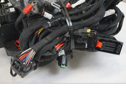 Vänster sida på Kabelstam från en Ducati Streetfighter V4 -2020 motorcykel.