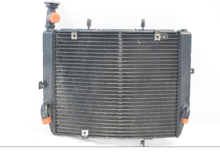 Baksidan på Vattenkyl från en Triumph Daytona 675 -2010 motorcykel.