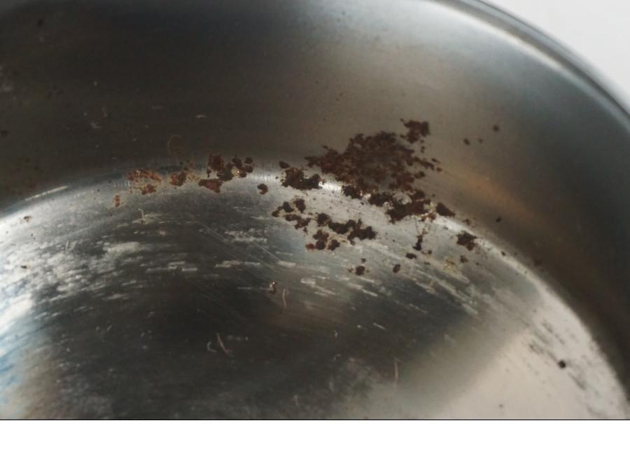 Snett nerifrån på Startmotorkåpa från en H-D Softail Standard FXST -2001 motorcykel.