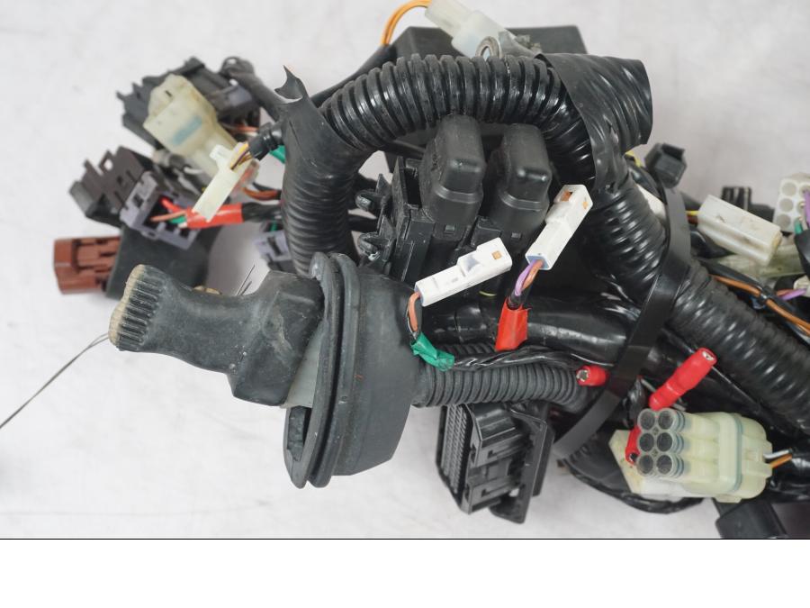 Extrabild5 på Kabelstam från en KTM 690 Duke -2015 motorcykel.