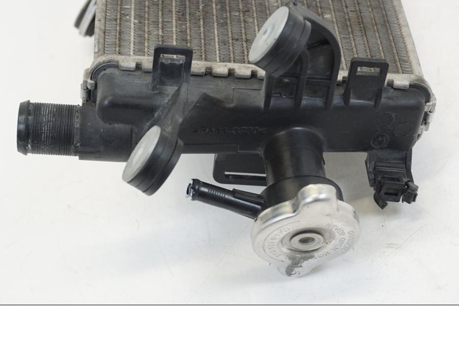 Extrabild6 på Vattenkyl från en BMW R 1250 GS -2019 motorcykel.