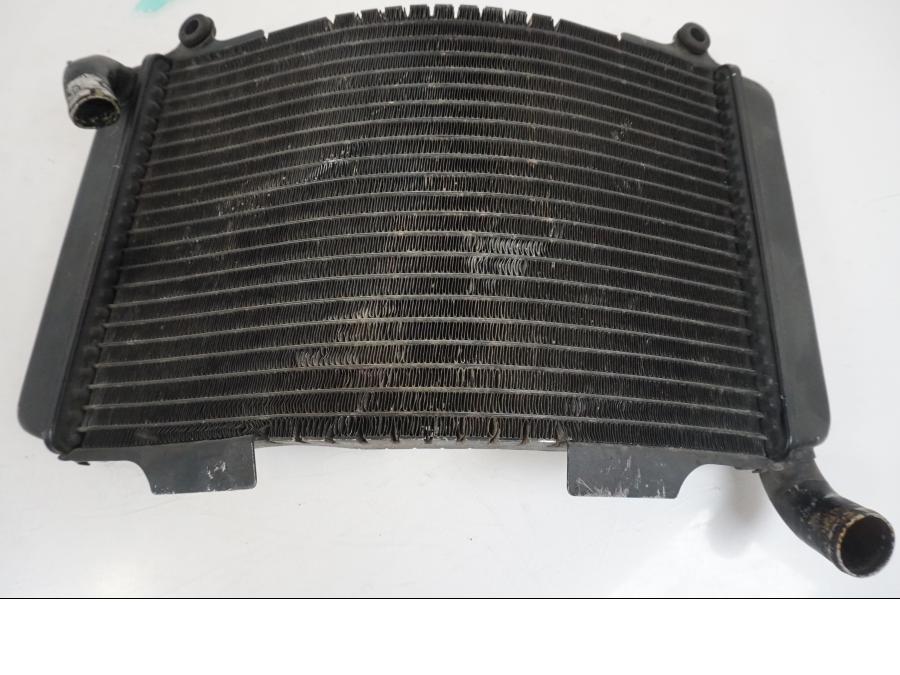 Extrabild2 på Vattenkyl från en Aprilia RS 250 -1998 motorcykel.