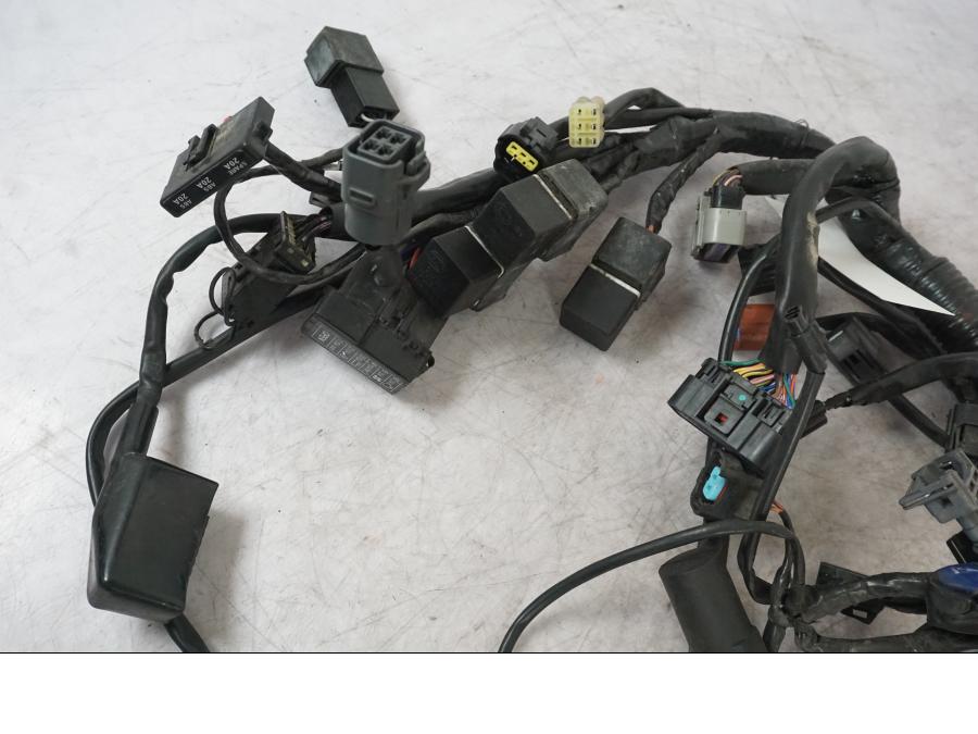 Extrabild1 på Kabelstam från en Triumph Tiger -2009 motorcykel.