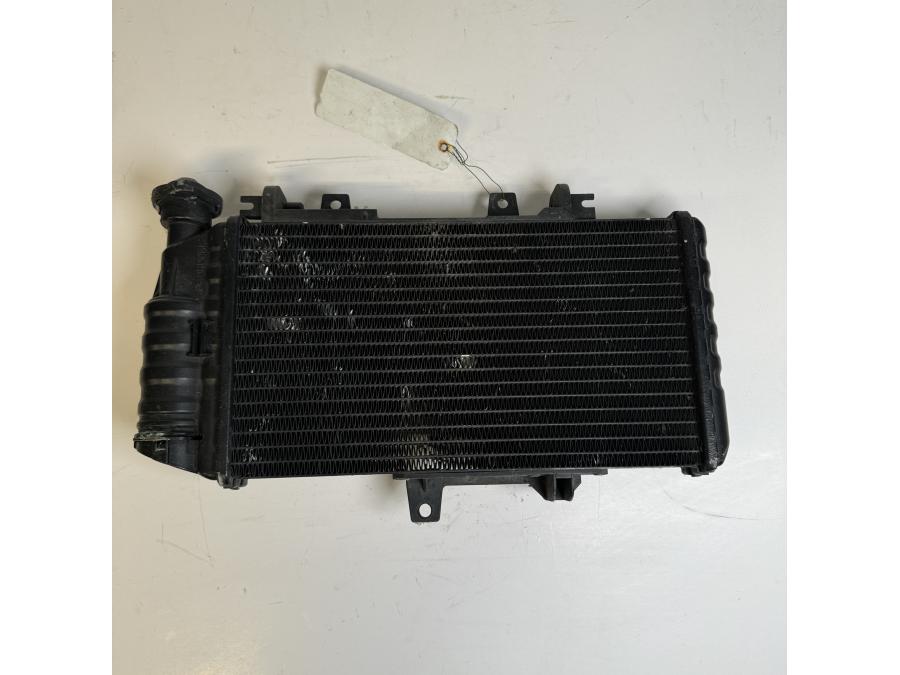 Framsidan på Vattenkyl från en BMW F 800 R -2011 motorcykel.