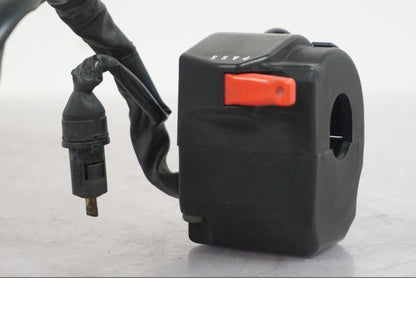 Extrabild1 på Styrelreglage från en Triumph Tiger -2009 motorcykel.