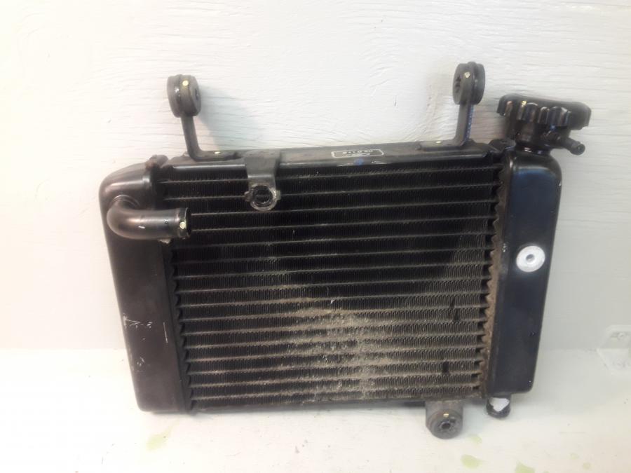 Baksidan på Vattenkyl från en Honda CBR 125 R -2008 motorcykel.