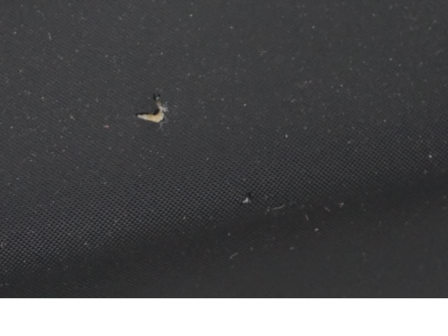 Extrabild1 på Sadel från en BMW R 1200 GSA -2019 motorcykel.