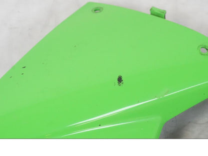 Baksidan på Magkåpa från en Kawasaki ZX-6R -2011 motorcykel.