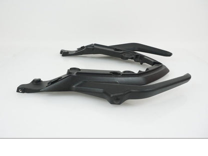 Vänster sida på Passagerarhandtag från en BMW F 900 R -2019 motorcykel.